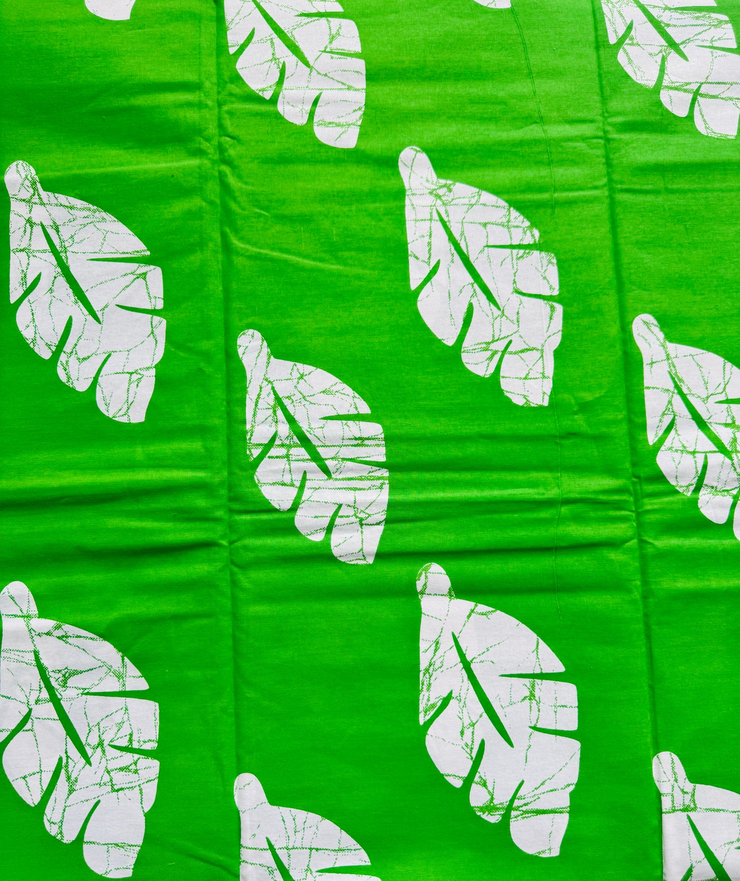 Leaf Patterns on a White Background