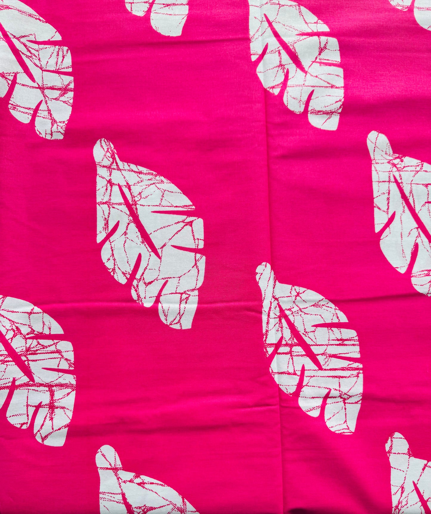 Leaf Patterns on a White Background