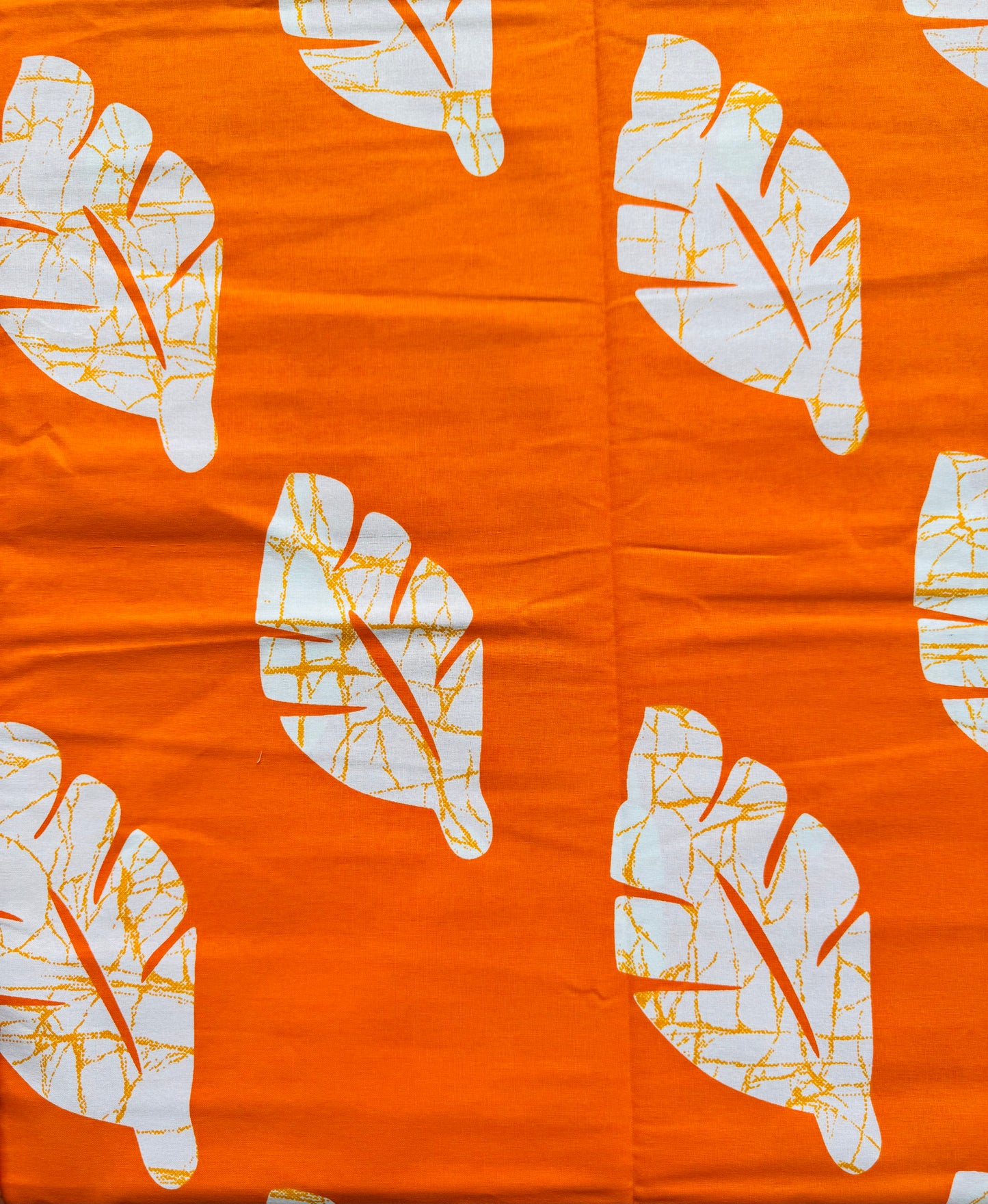 Leaf Patterns on a White Background