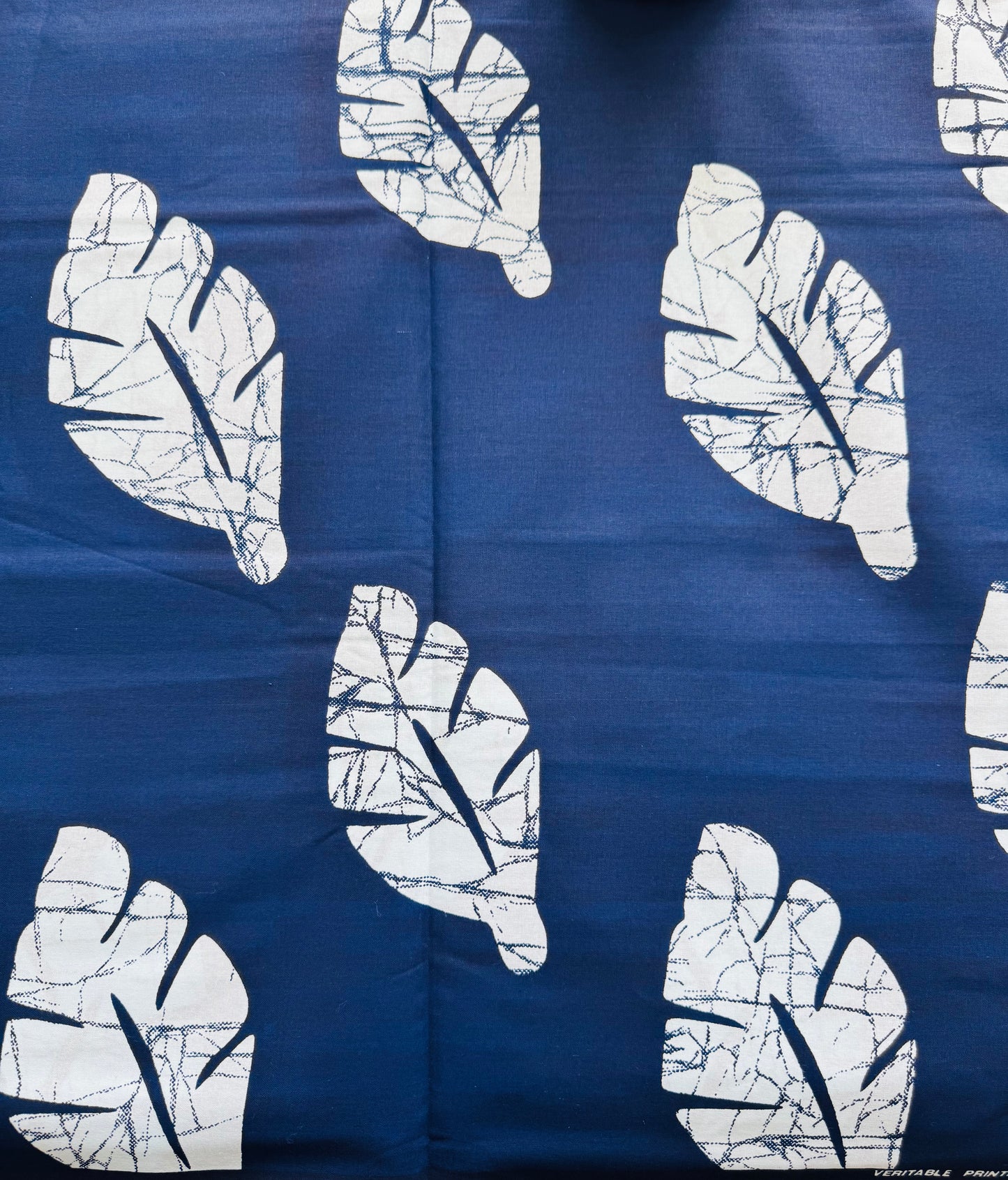 Leaf Patterns on a White Background